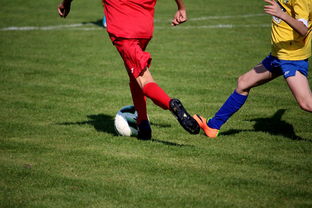 爱游戏app注册-世界围棋赛多国选手展现东亚围棋影响力，东南亚围棋  第3张