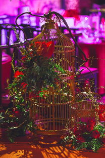 爱游戏入口-中国体坛年度颁奖典礼群星闪耀,中国体坛风云人物典礼颁奖词 第2张